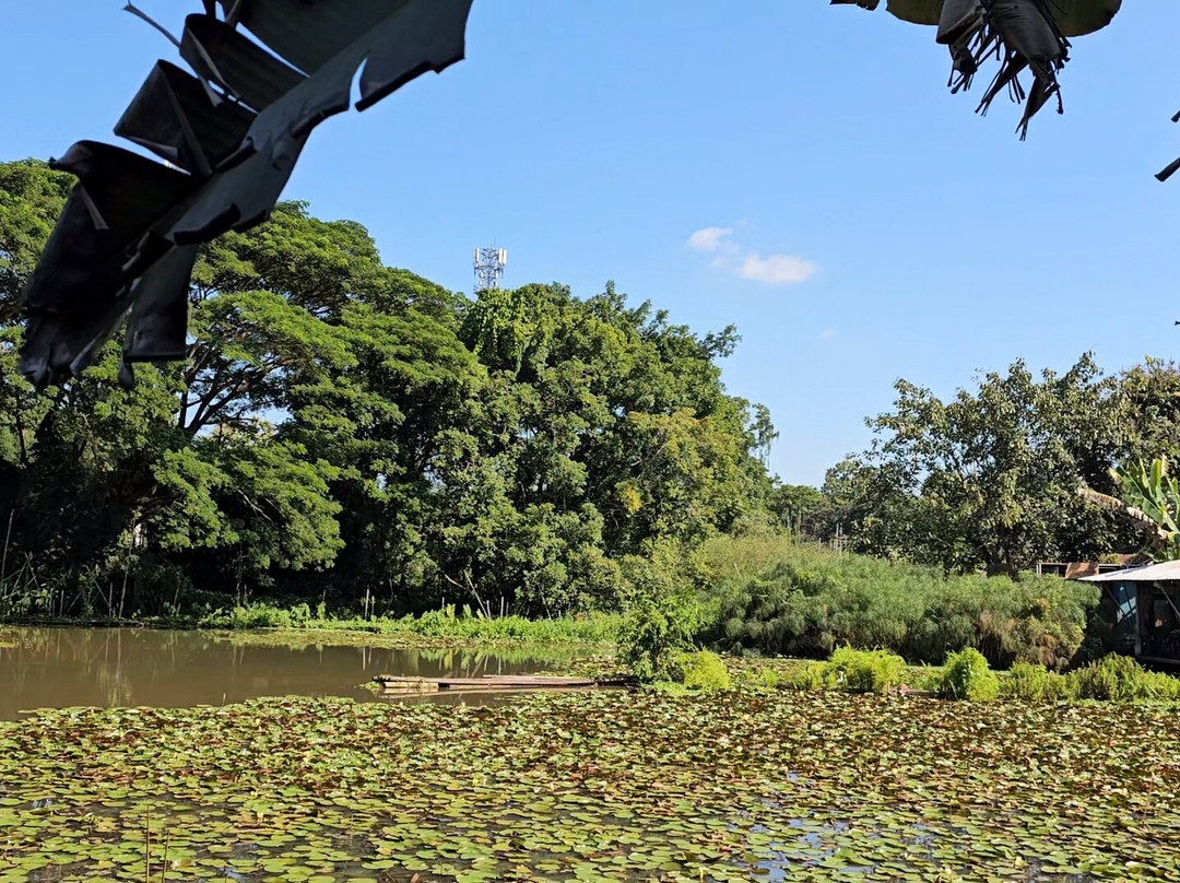 萨卡威度假酒店主图