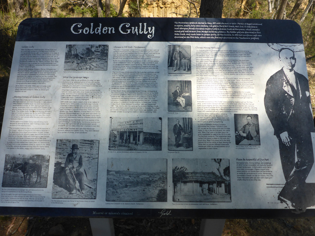 Golden Gully-Hill End必去景点