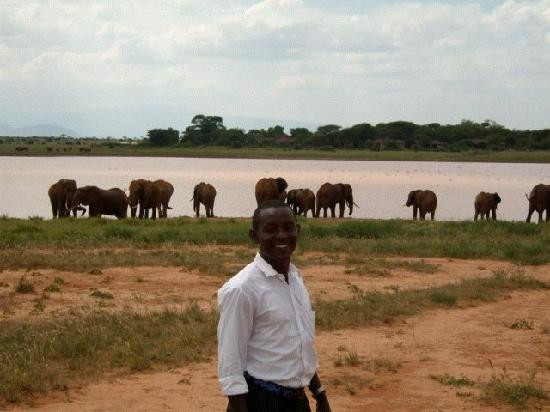 Bethel Day Tour-东察沃国家公园必去景点