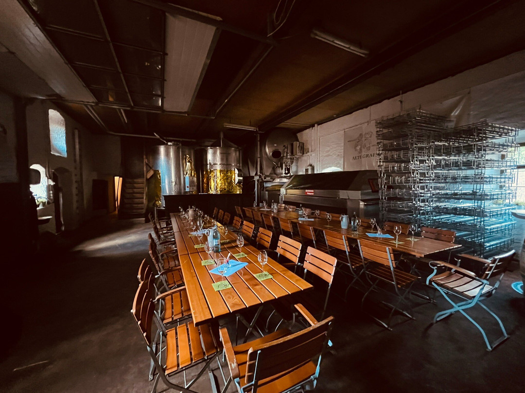 Weingut Alte Grafschaft Kreuzwertheim-Kreuzwertheim必去景点