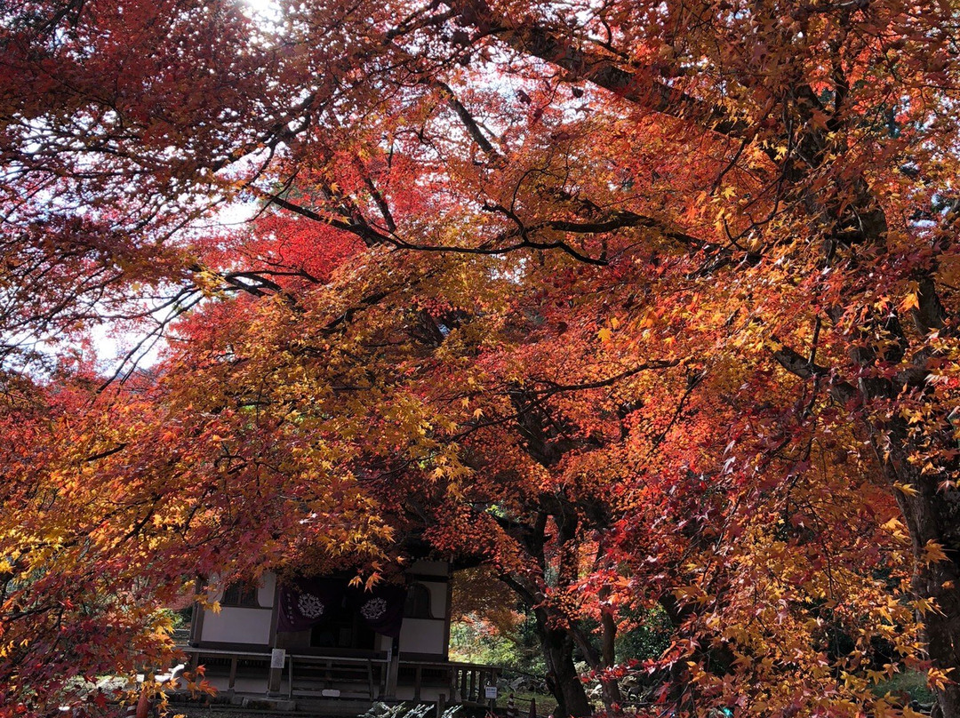 Gyokuryu-ji Temple-下吕市必去景点