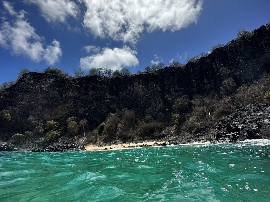 Baia dos Porcos-费尔南多-迪诺罗尼亚群岛必去景点