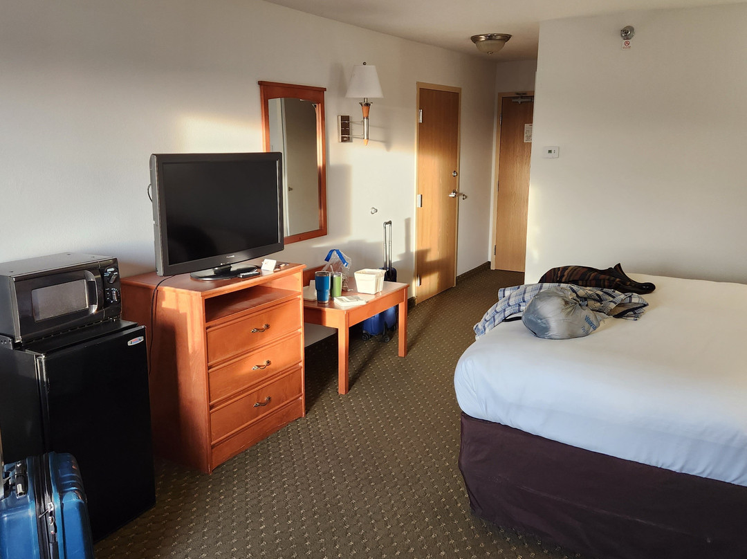 Comfort Inn & Suites主图