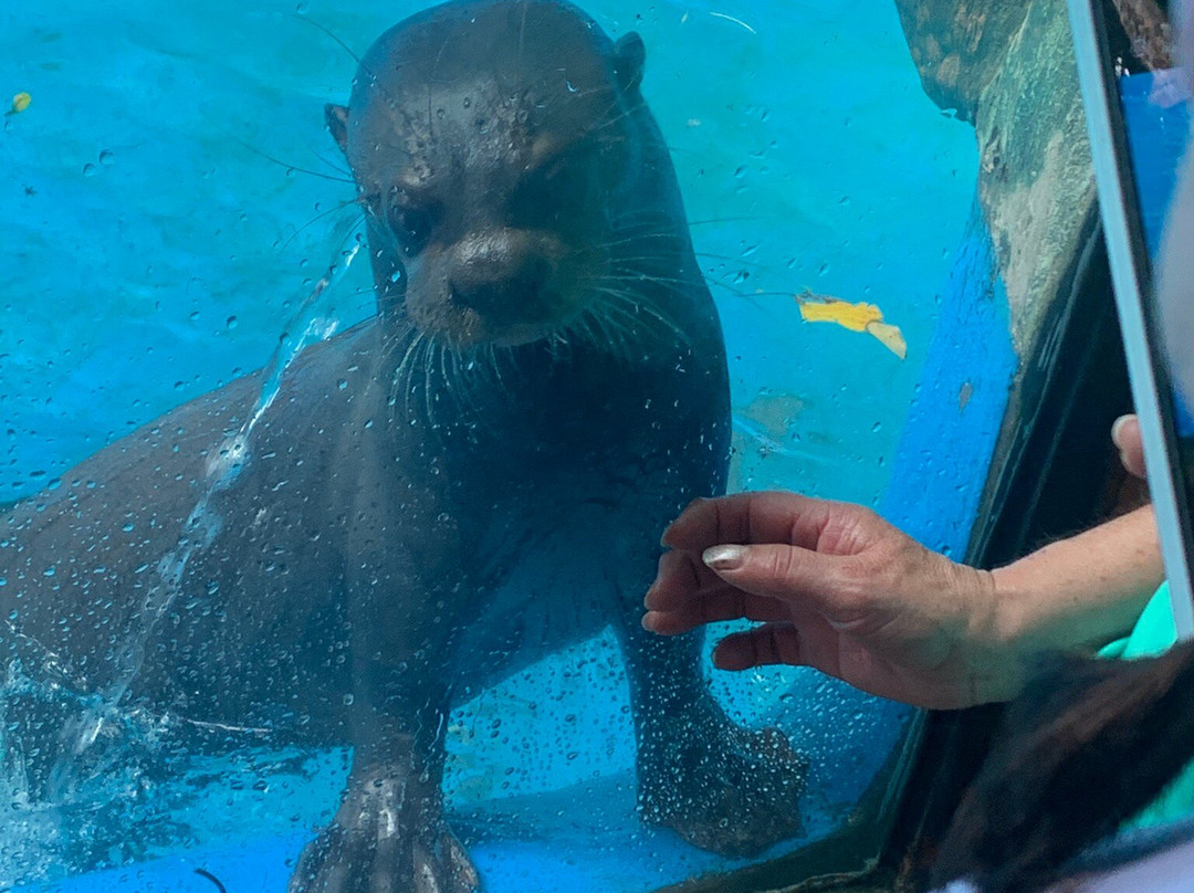 Bioparque Los Ocarros景点图片