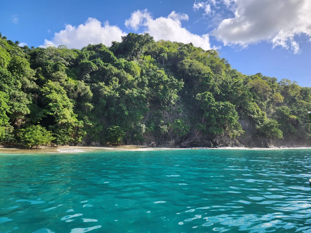 Top Catch Tobago Charters-Buccoo必去景点