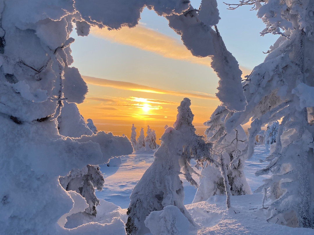 Riisitunturi National Park-Posio必去景点