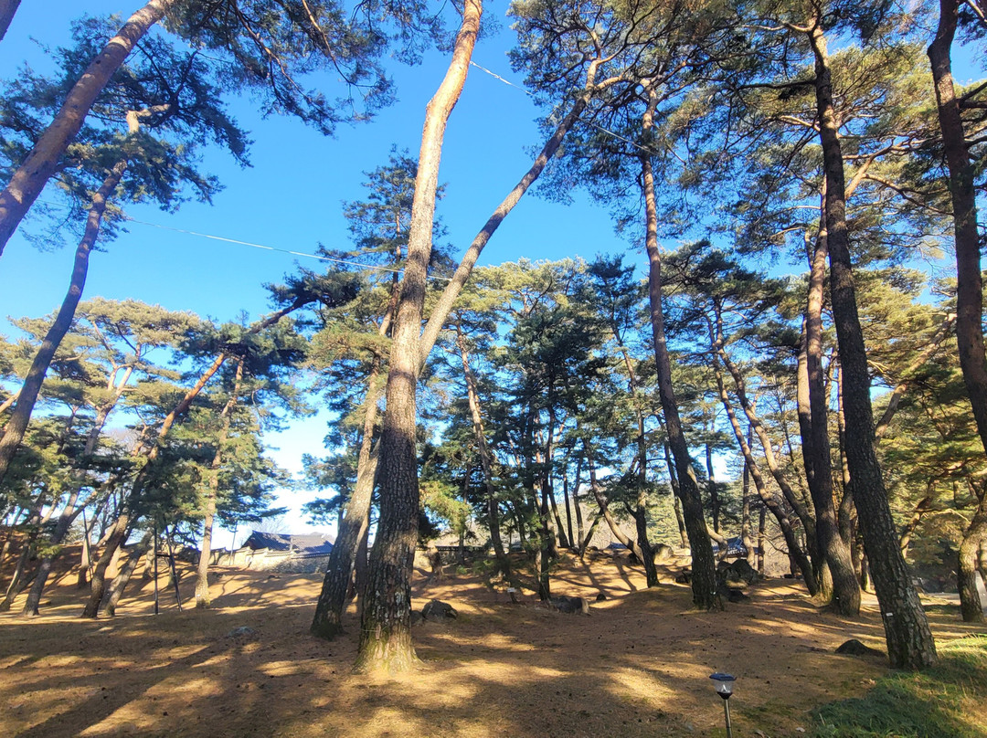 Sosuseowon Confucian Academy-荣州市必去景点