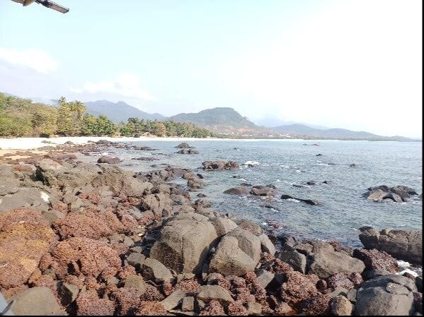 The Stafford Lodge主图