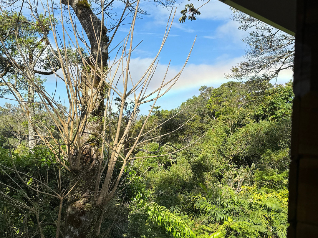 Monteverde Lodge主图