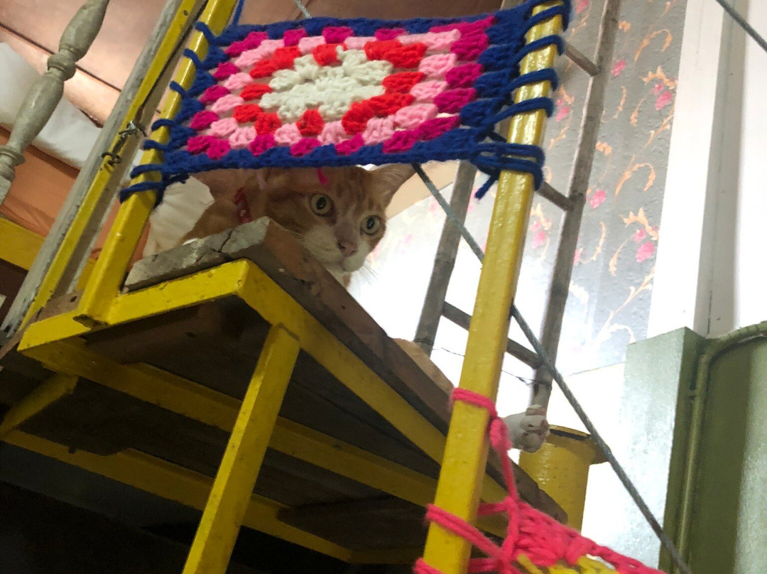 Artist's Place Trat主图