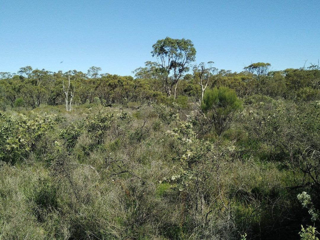 Badgingarra National Park景点图片