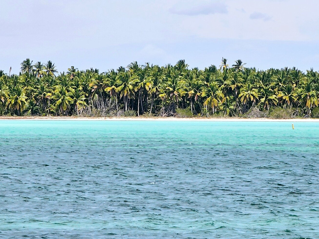 El Tour Caribe景点图片