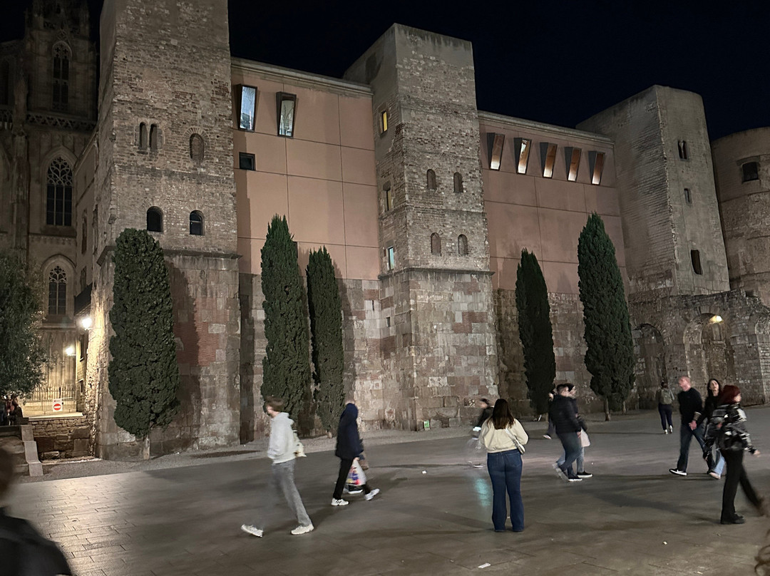 Thrills Day Tours by 3els-巴塞罗那必去景点