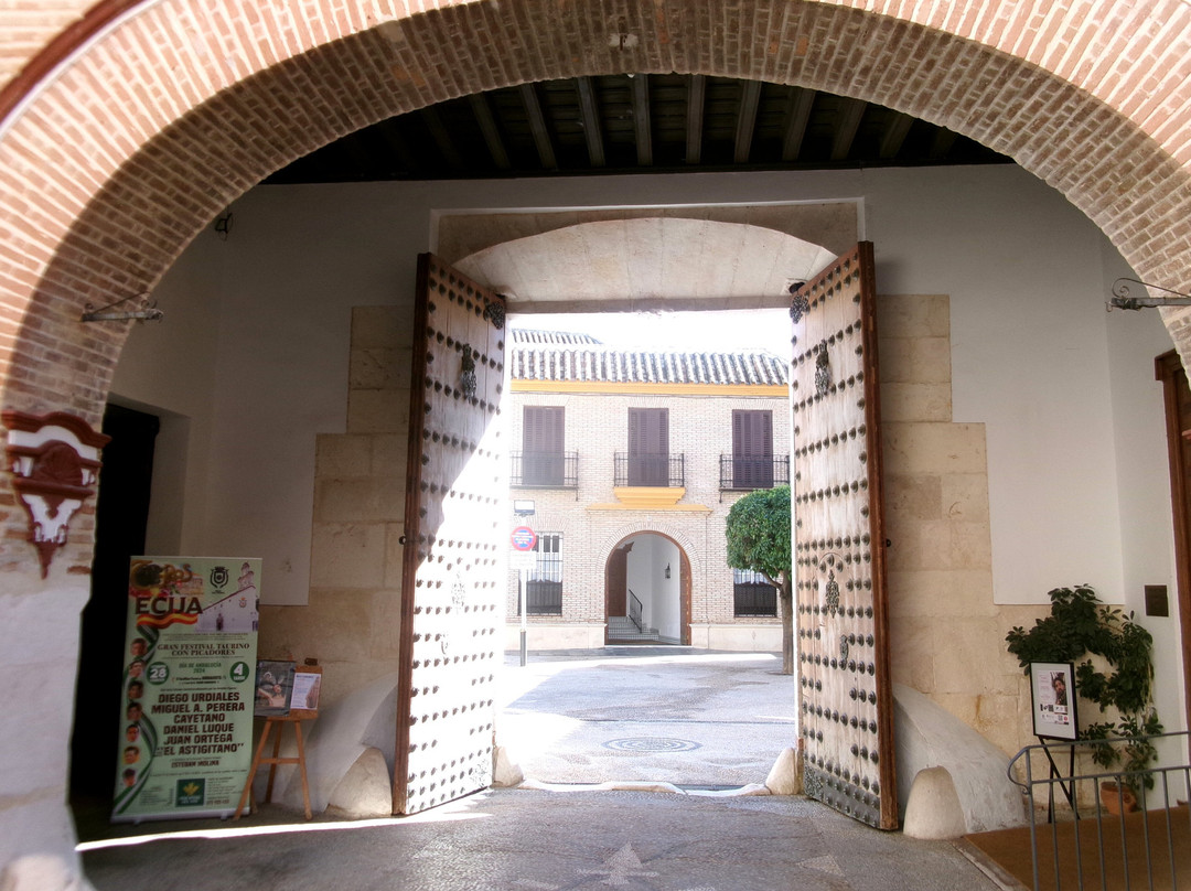 Museo Histórico Municipal de Écija景点图片