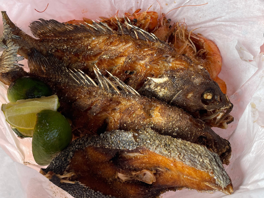 Touriffic Adventures Aruba-奥腊涅斯塔德必去景点