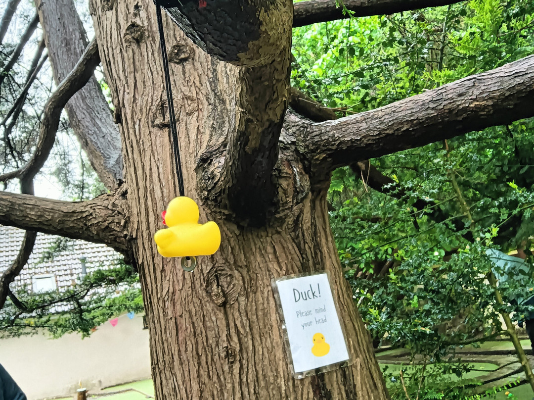 Cheddar Crazy Golf-Cheddar必去景点