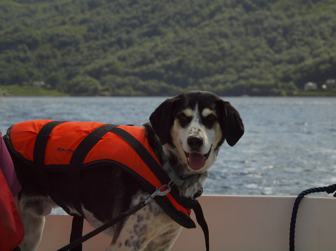 Loch Goil Cruisers景点图片