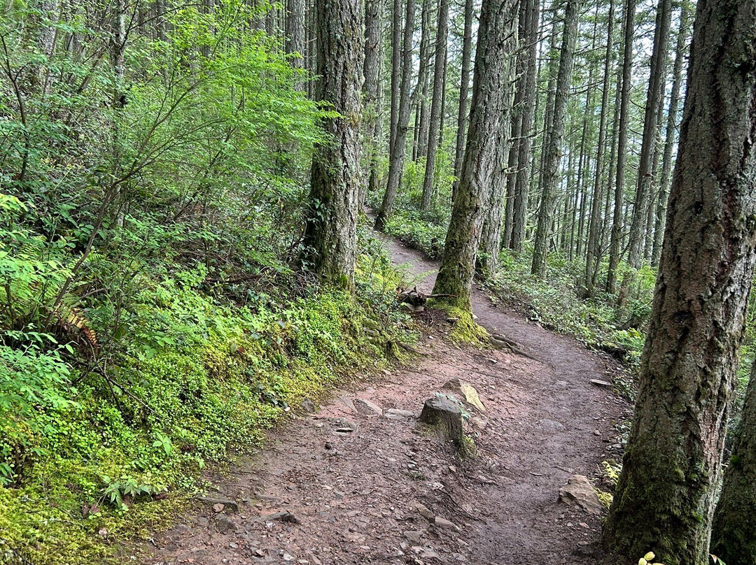 Oyster Dome Trail-Bow必去景点