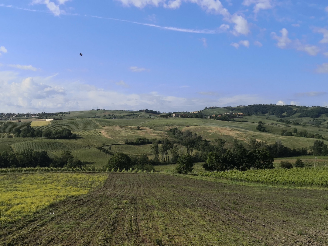 Agriturismo Cà Vida