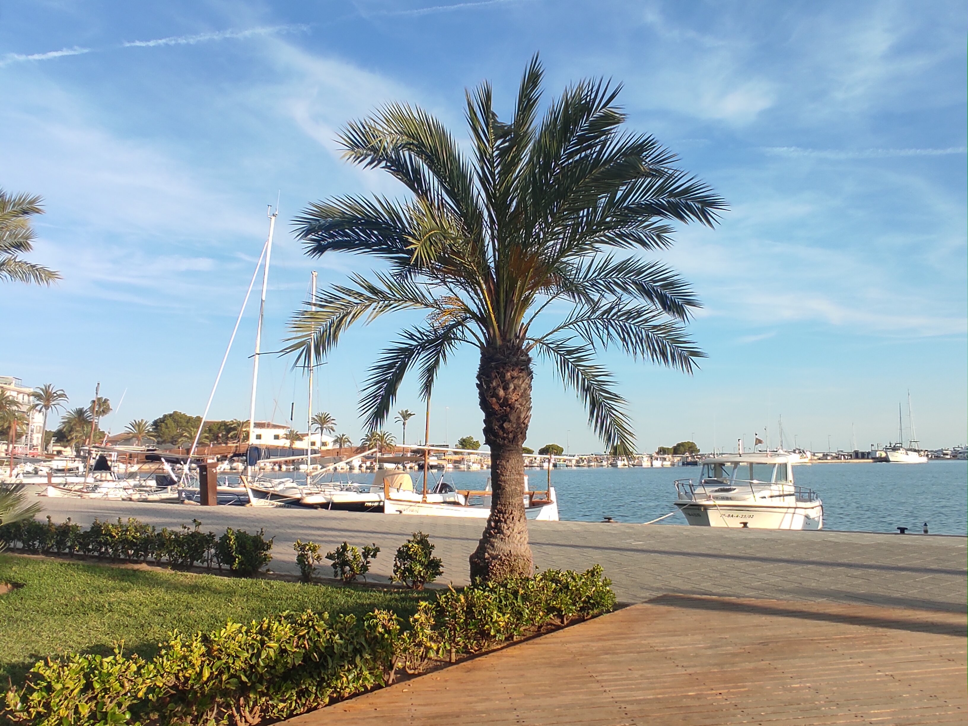 Alcudia Garden Aparthotel-泳池