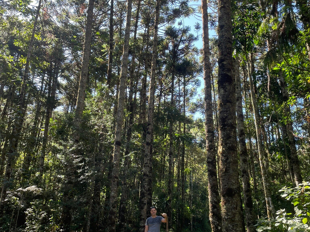 Pedra Chanfrada-Goncalves必去景点