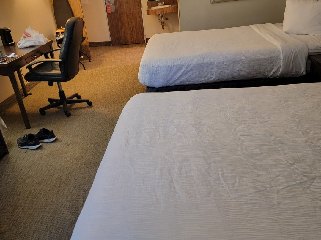 Howard Johnson by Wyndham Amherst Hadley主图