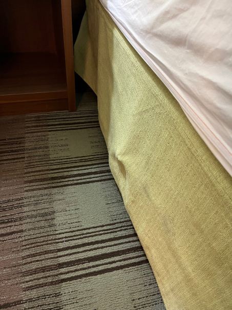 查尔斯顿芒特普林森Homewood Suites by Hilton-客卧