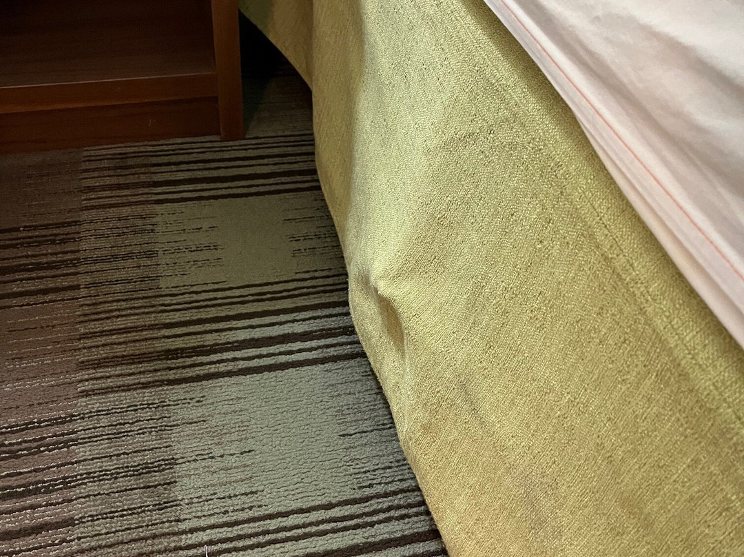 Homewood Suites by Hilton Charleston - Mt. Pleasant主图