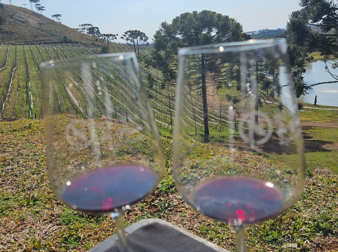 Vinicola Quinta Da Neve景点图片