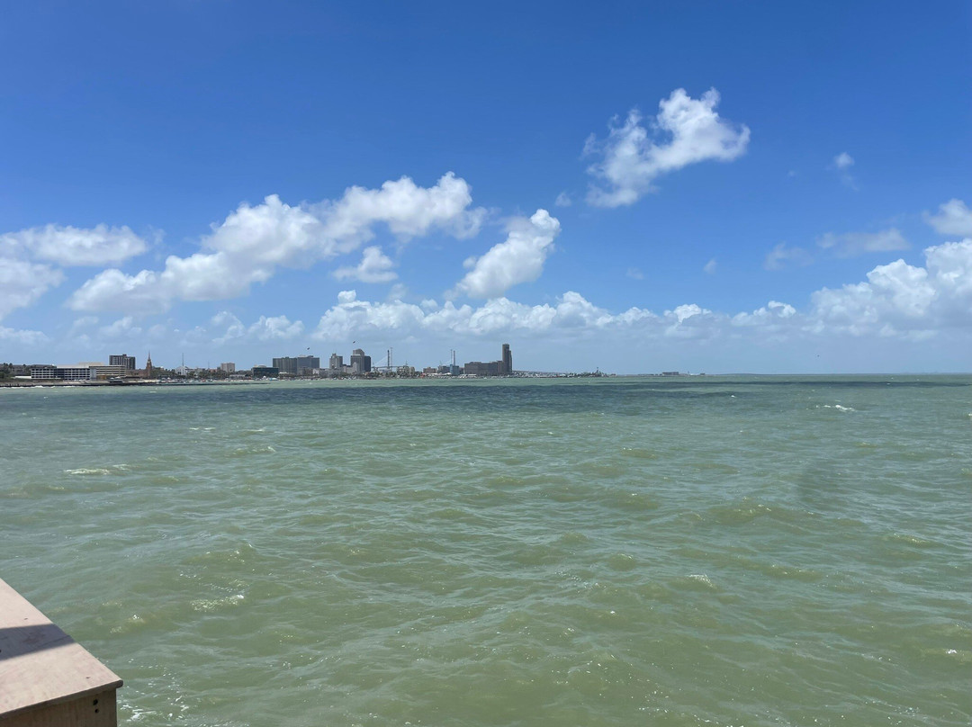 Cole Park-科珀斯克里斯蒂市必去景点