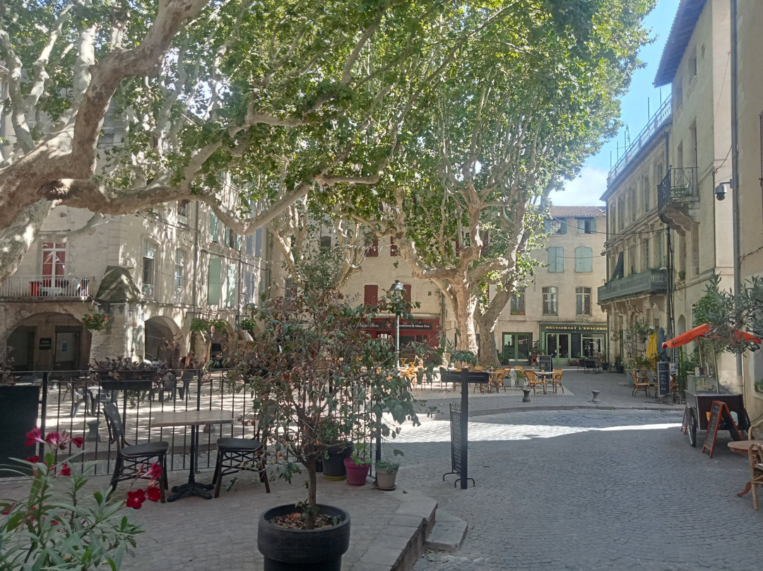 Hotel Le Provençal主图