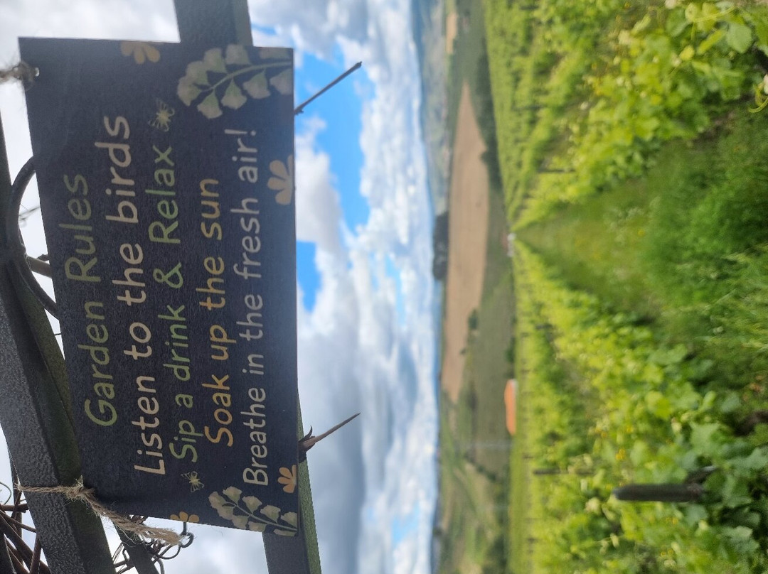 Quinta da Fonte do Milho景点图片