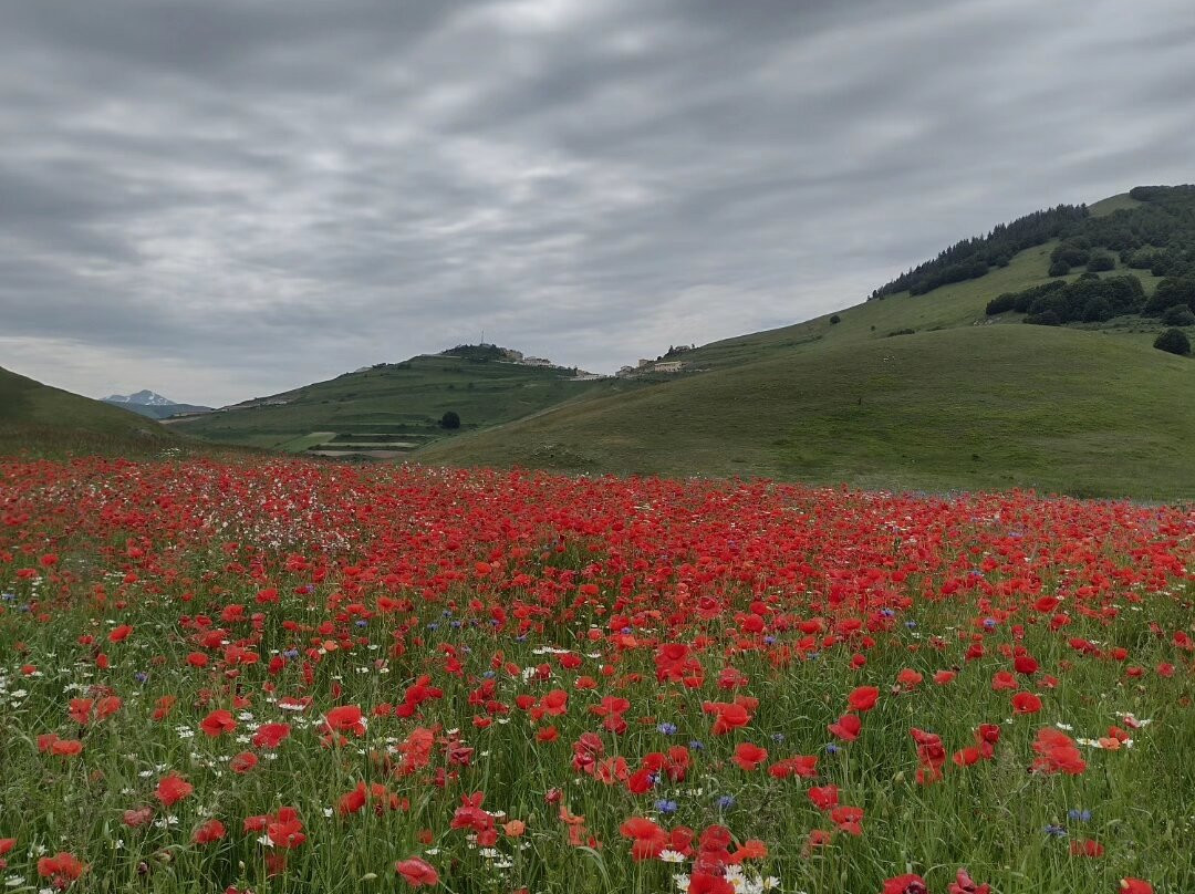 Castelluccio-翁布里亚必去景点