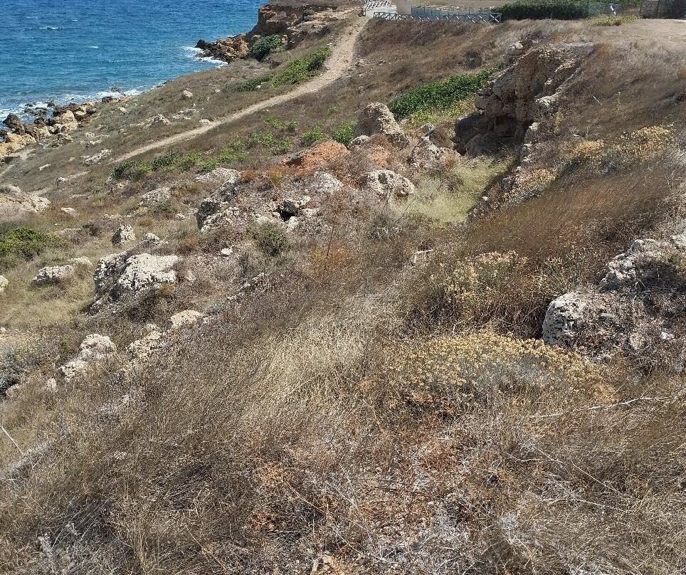 Area Archeologica di Capo Colonna景点图片