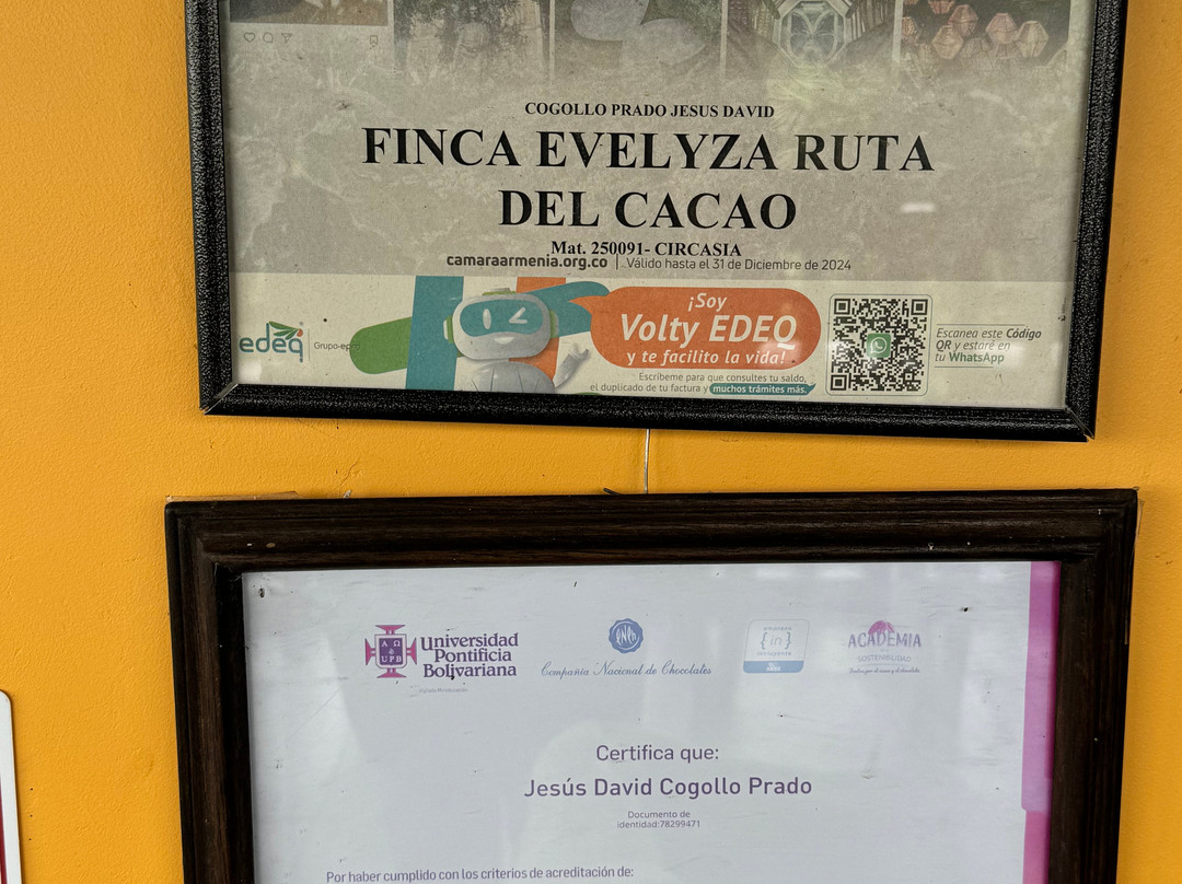 Cacao Tour in Circasia, Quindío - Finca Evelyza-Circasia必去景点