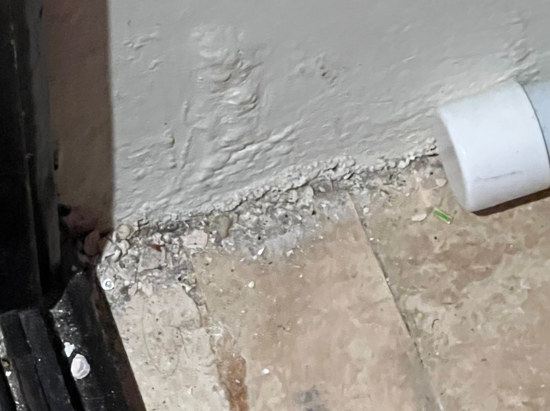 Grand Palladium Jamaica Resort & Spa主图