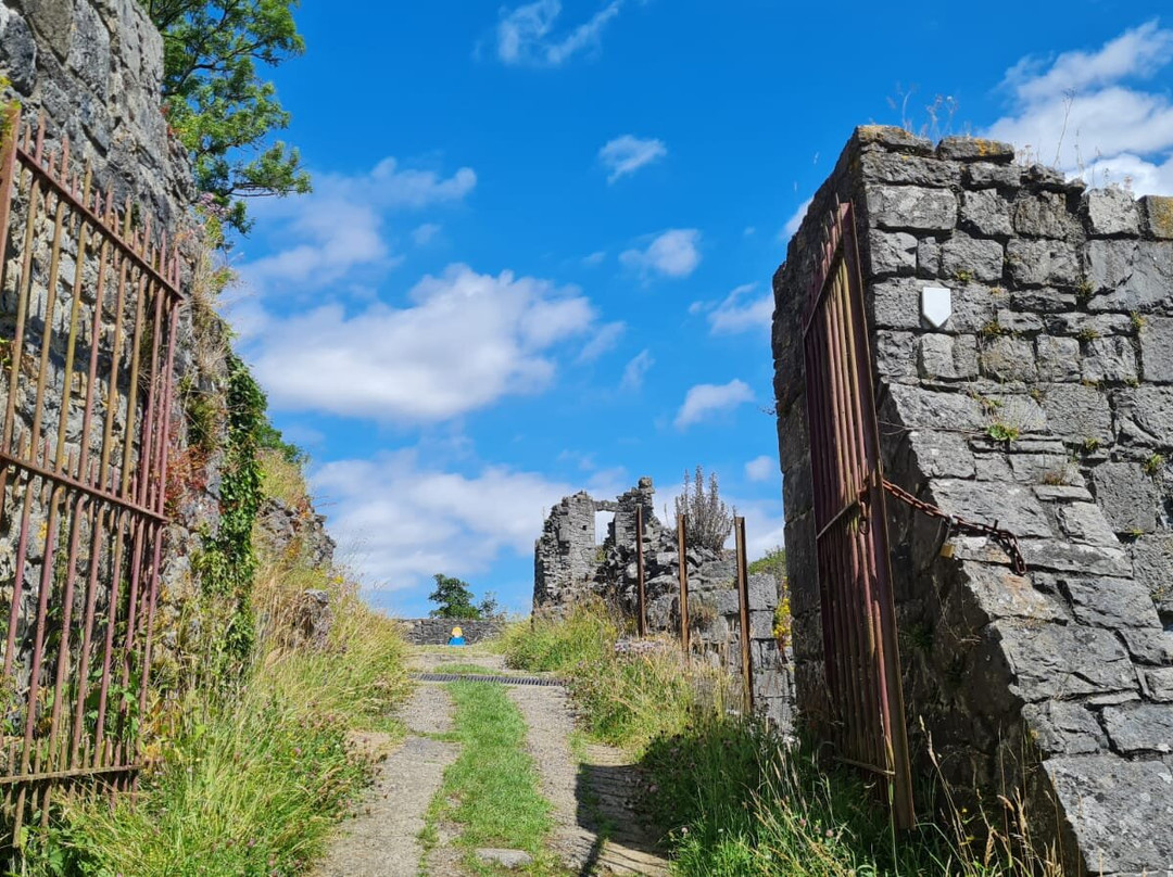 Les ruines du Chateau Fort de Montaigle景点图片