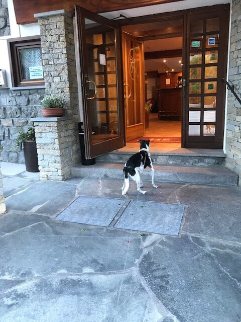 Hotel Edelweiss主图