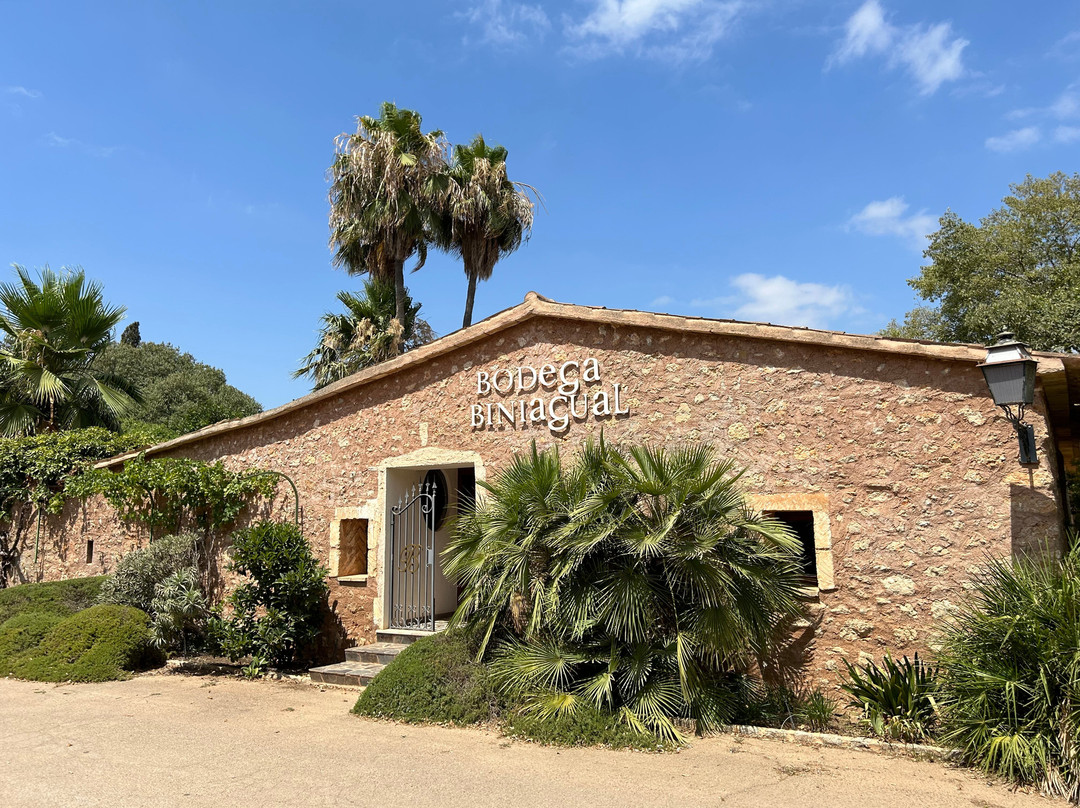 Bodega Biniagual景点图片