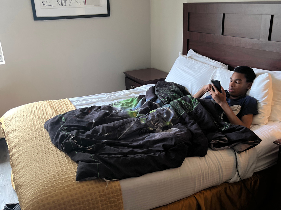 SureStay By Best Western Orange主图