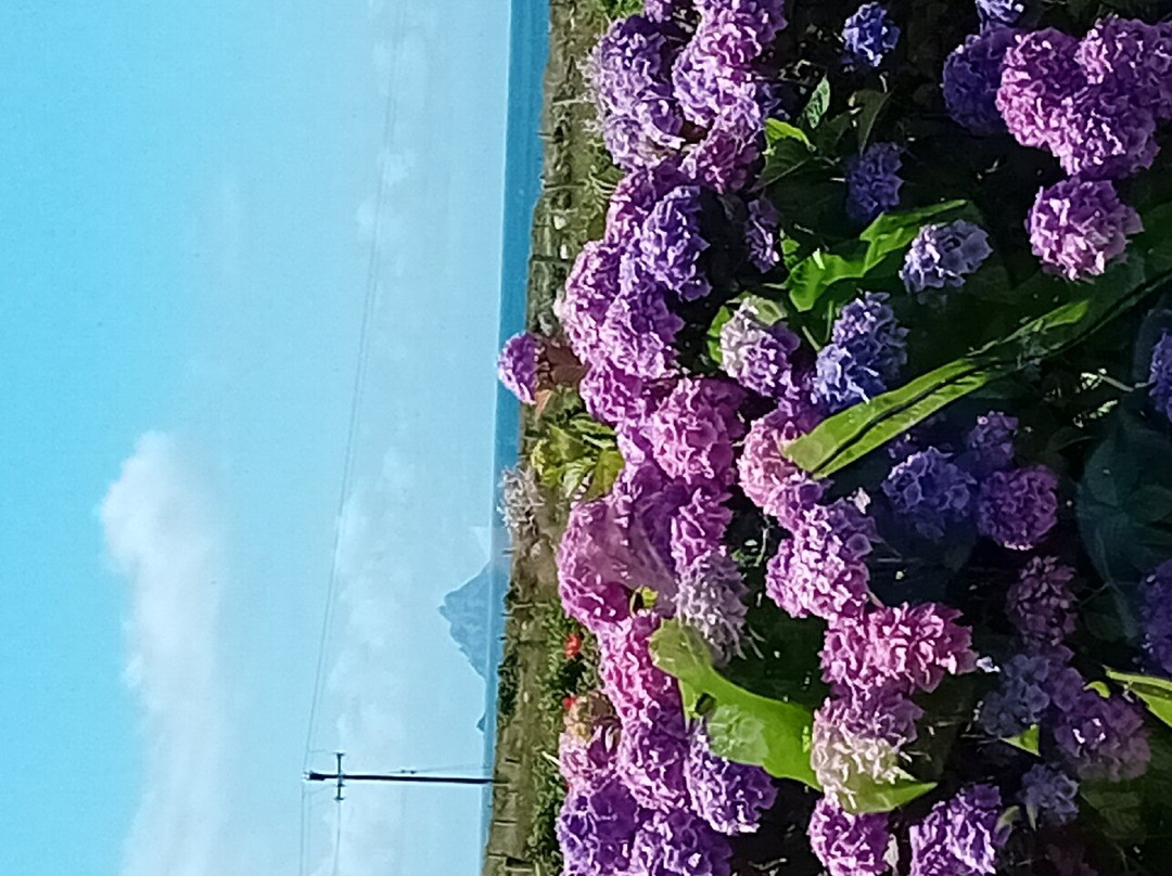 Skelligs Chocolate Co.-Ballinskelligs必去景点