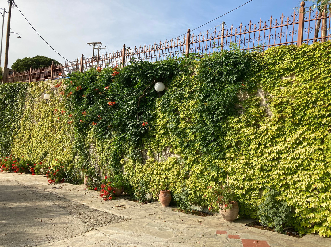 Martha's Haus Hotel主图