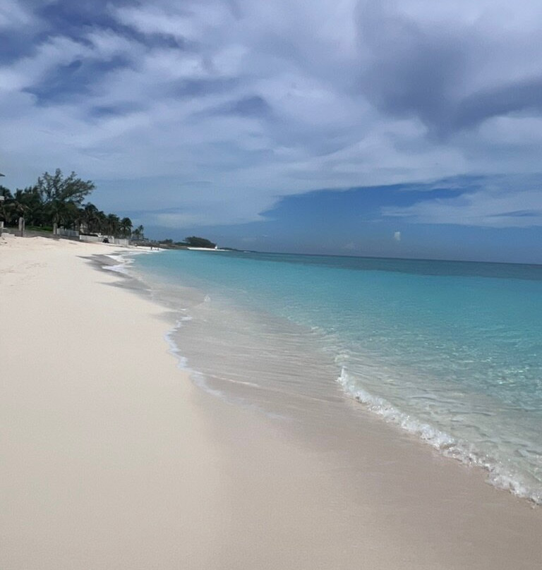 Sivananda Ashram Yoga Retreat Bahamas主图