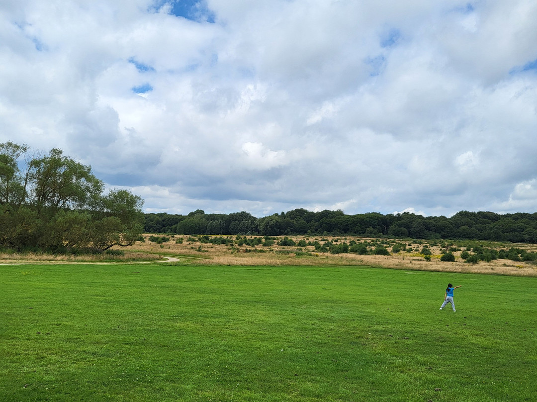 Hainault Forest Country Park景点图片