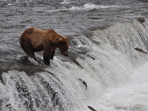 Northwind Aviation LLC-荷马必去景点