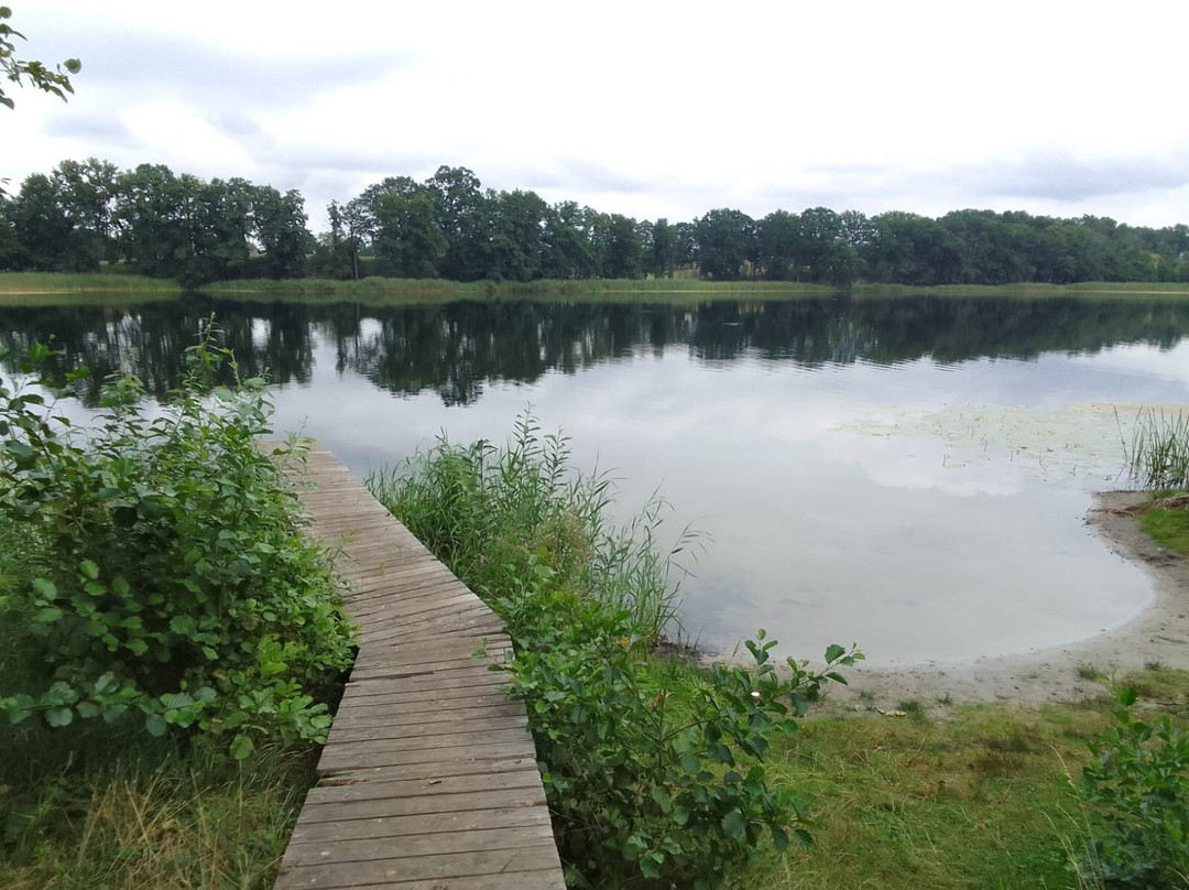 Pension Buntspecht主图