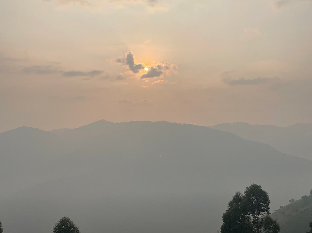 Bwindi Orugano Lodge
