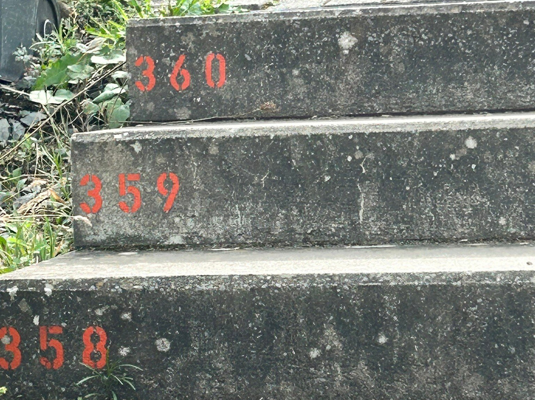Metabolon景点图片