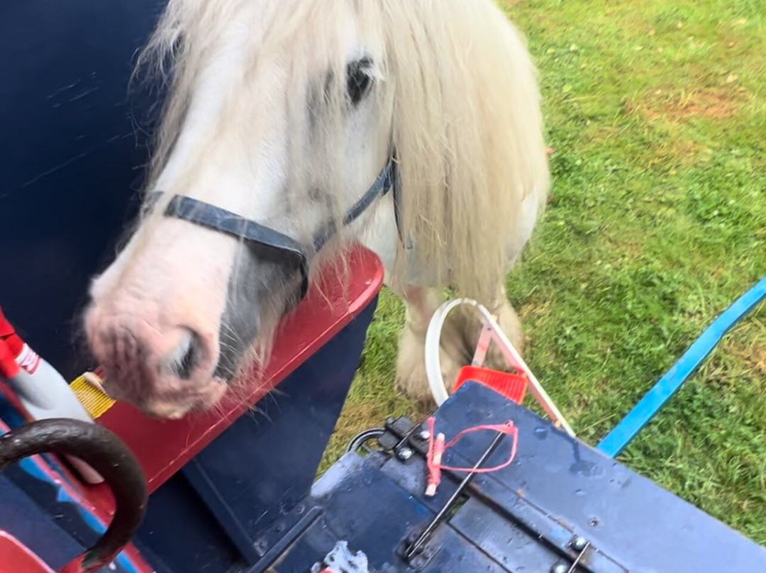 White Horse Gypsy Caravans景点图片
