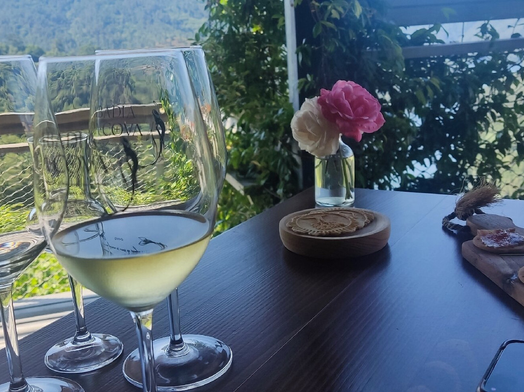 Abadía da Cova-卢戈省必去景点